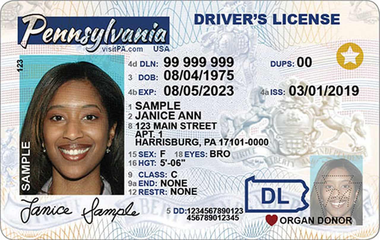 Do You Need a REAL ID to Fly? Executive Flyers